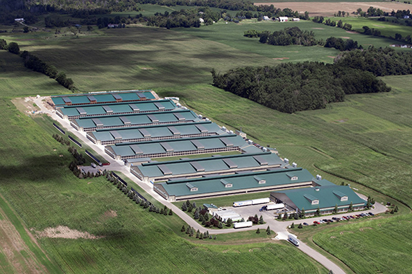 南通リムーバブルデンチャー株式会社