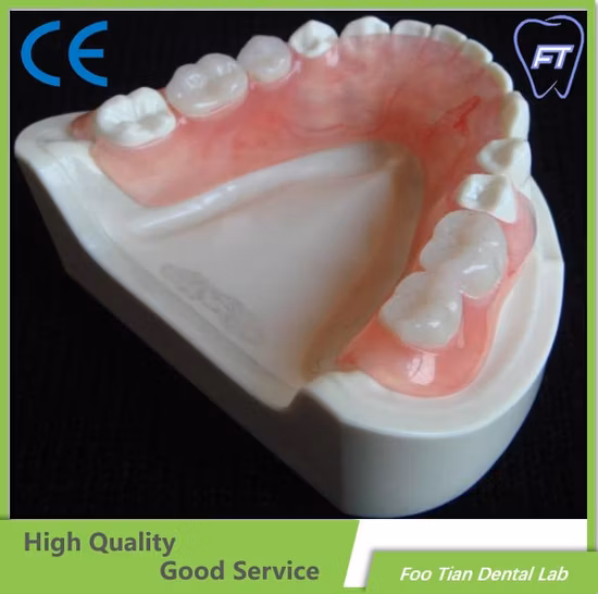 Removable Denture Dental Cobalt Chrome Casting Framework Denture